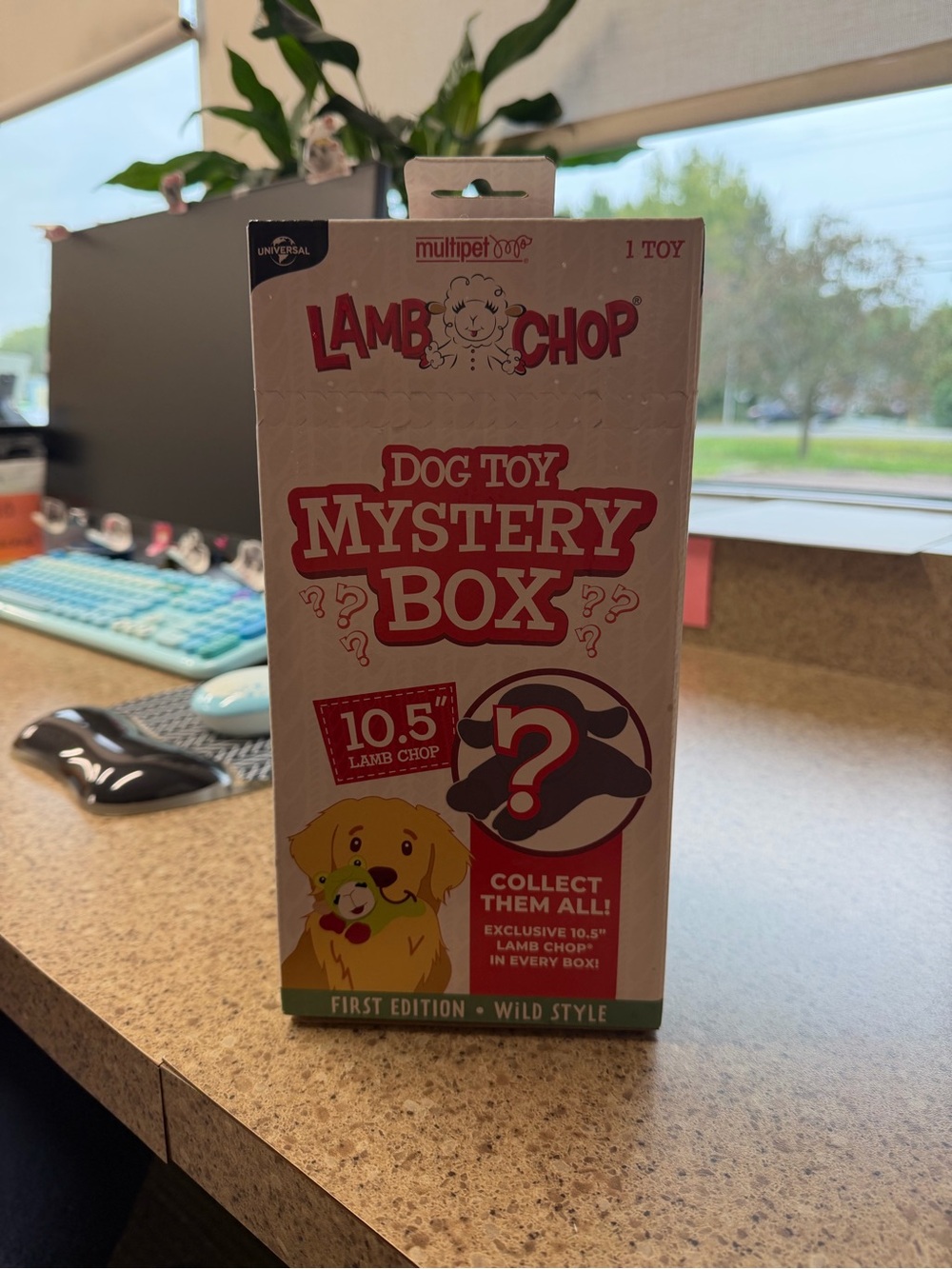 Lamb Chop Dog Toy Mystery Box